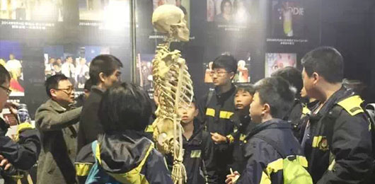  探究生命奧秘，延伸課堂知識--MYP學子參觀人體藝術科普展 