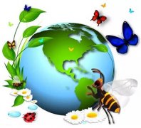 【PYP動態】探究生物，共享地球——PYP一年級組探究活動
