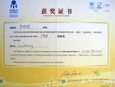 美視學子榮獲2010中國兒童環保繪畫大賽少年組優勝獎