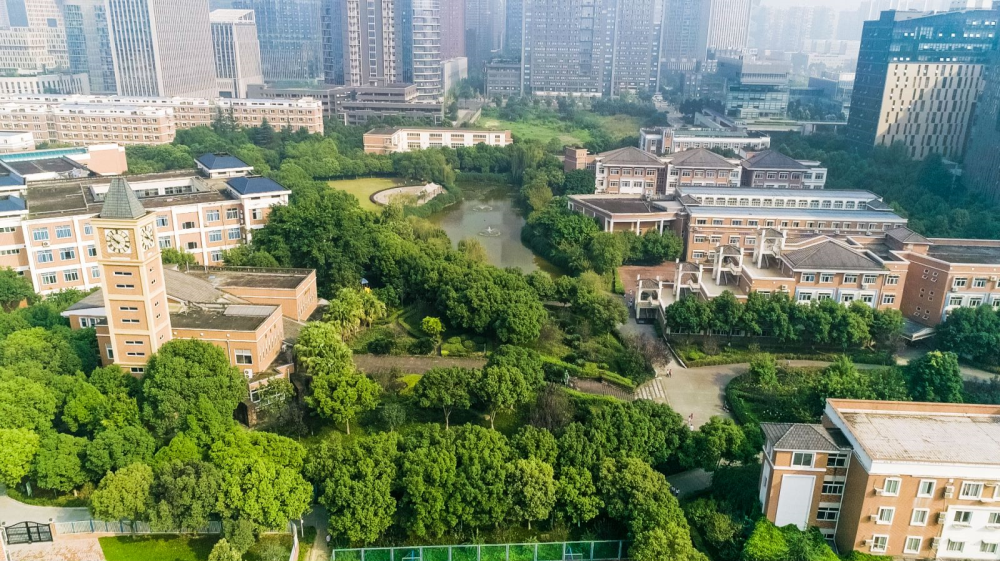 公告丨2022成都美視學校小升初咨詢