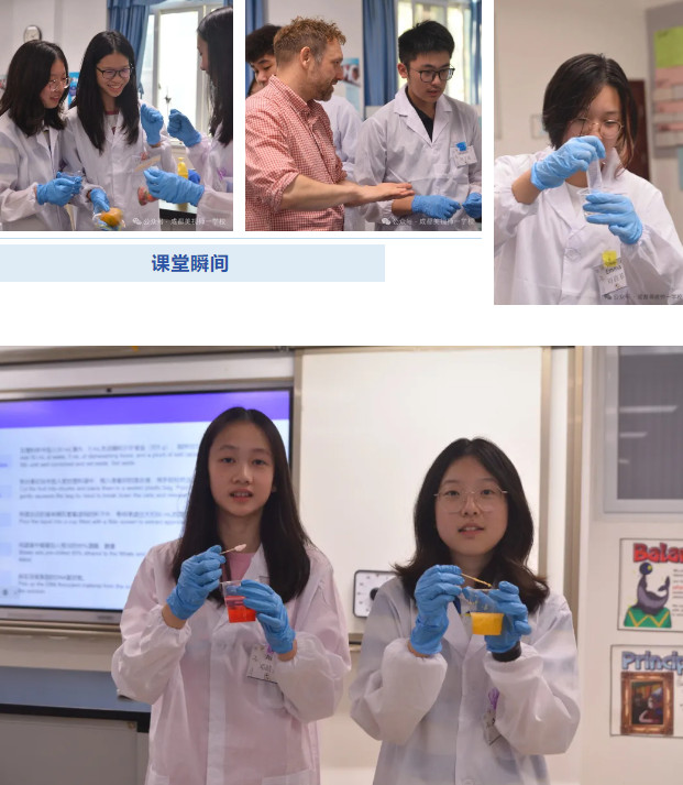 093055-4273.jpg 2025-09-30_101235.jpg